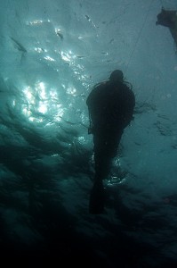 Disfruta del mundo del submarinismo en Castro Urdiales
